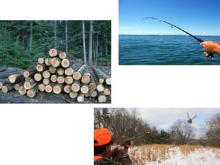 Ecosystems - Natural Science