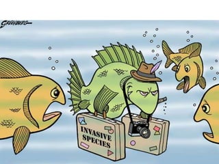 Ecosystems - Natural Science