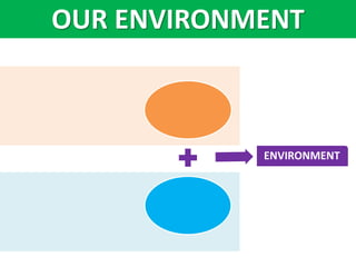ENVIRONMENT
OUR ENVIRONMENT
 