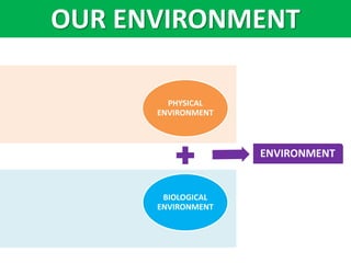 PHYSICAL
ENVIRONMENT
BIOLOGICAL
ENVIRONMENT
ENVIRONMENT
OUR ENVIRONMENT
 