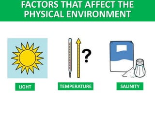 FACTORS THAT AFFECT THE
PHYSICAL ENVIRONMENT
LIGHT TEMPERATURE SALINITY
 