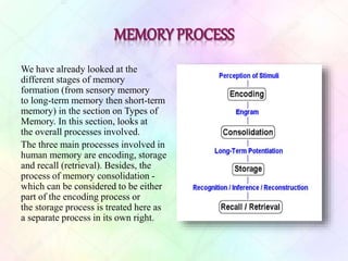 We have already looked at the
different stages of memory
formation (from sensory memory
to long-term memory then short-term
memory) in the section on Types of
Memory. In this section, looks at
the overall processes involved.
The three main processes involved in
human memory are encoding, storage
and recall (retrieval). Besides, the
process of memory consolidation -
which can be considered to be either
part of the encoding process or
the storage process is treated here as
a separate process in its own right.
 