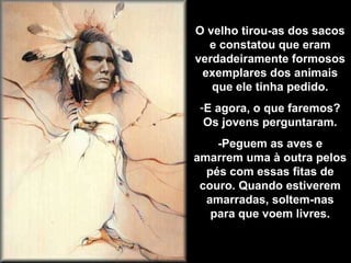 O velho tirou-as dos sacos e constatou que eram verdadeiramente formosos exemplares dos animais que ele tinha pedido. E agora, o que faremos? Os jovens perguntaram. -Peguem as aves e amarrem uma à outra pelos pés com essas fitas de couro. Quando estiverem amarradas, soltem-nas para que voem livres. 
