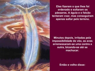 Eles fizeram o que lhes foi ordenado e soltaram os pássaros. A águia e o falcão tentaram voar, mas conseguiram apenas saltar pelo terreno. Minutos depois, irritadas pela impossibilidade do vôo, as aves arremessaram-se uma contra a outra, bicando-se até se machucar. Então o velho disse: 