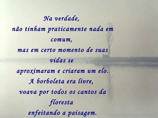 Na verdade,   não tinham praticamente nada em comum,   mas em certo momento de suas vidas se   aproximaram e criaram um elo. A borboleta era livre,   voava por todos os cantos da floresta   enfeitando a paisagem. Já o cavalinho, tinha grandes limitações,   não era bicho solto que pudesse viver   entregue à natureza.     