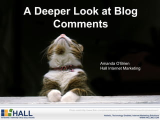 A Deeper Look at Blog Comments Photo credit:http://www.flickr.com/photos/laurenprofeta/5322072934/sizes/l/in/photostream/ Amanda O’Brien Hall Internet Marketing 