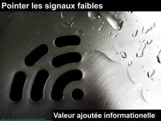 Pointer les signaux faibles




http://www.flickr.com/photos/billselak/3051569295
                                                    Valeur ajoutée informationelle
 