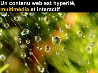 Un contenu web est hyperlié,
multimédia et interactif
 