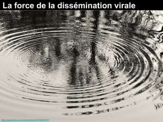 La force de la dissémination virale




http://www.flickr.com/photos/telomi/6766630977
 