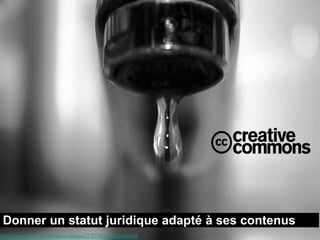 Donner un statut juridique adapté à ses contenus
http://www.flickr.com/photos/yakusa77/3776144522/sizes/l/
 