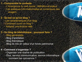 1 - Comprendre le contexte
    - L'émergence du web social : définition et enjeux
    - Les pratiques informationnelles et numériques des
        usagers

2 - Qu'est ce qu'un blog ?
   - Les caractéristiques d'un blog
   - Comment ouvrir un blog ?
   - Adopter une écriture web

3 - Un blog de bibliothèque : pourquoi faire ?
    - Blog généraliste
    - Blog d'animation
    - Blog thématique
    - Blog de mis en valeur d'un fonds patrimonial

4 - Comment s'organiser ?
    - Organiser une chaîne de publication
    - Élus, service communication, service informatique :
        comment les convaincre ?
 