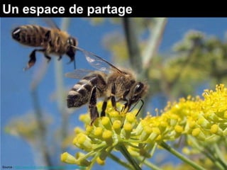 Un espace de partage




Source : http://www.flickr.com/photos/wolfraven/1334244592
 