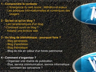 1 - Comprendre le contexte
    - L'émergence du web social : définition et enjeux
    - Les pratiques informationnelles et numériques des
        usagers

2 - Qu'est ce qu'un blog ?
   - Les caractéristiques d'un blog
   - Comment ouvrir un blog ?
   - Adopter une écriture web

3 - Un blog de bibliothèque : pourquoi faire ?
    - Blog généraliste
    - Blog d'animation
    - Blog thématique
    - Blog de mis en valeur d'un fonds patrimonial

4 - Comment s'organiser ?
    - Organiser une chaîne de publication
    - Élus, service communication, service informatique :
        comment les convaincre ?
 