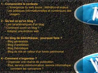 1 - Comprendre le contexte
    - L'émergence du web social : définition et enjeux
    - Les pratiques informationnelles et numériques des
        usagers

2 - Qu'est ce qu'un blog ?
   - Les caractéristiques d'un blog
   - Comment ouvrir un blog ?
   - Adopter une écriture web

3 - Un blog de bibliothèque : pourquoi faire ?
    - Blog généraliste
    - Blog d'animation
    - Blog thématique
    - Blog de mis en valeur d'un fonds patrimonial

4 - Comment s'organiser ?
    - Organiser une chaîne de publication
    - Élus, service communication, service informatique :
        comment les convaincre ?
 