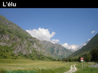 L’élu




Source : http://www.flickr.com/photos/dexcoffier/501347355
 