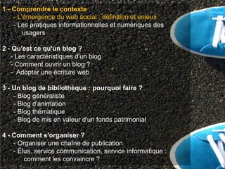1 - Comprendre le contexte
    - L'émergence du web social : définition et enjeux
    - Les pratiques informationnelles et numériques des
        usagers

2 - Qu'est ce qu'un blog ?
   - Les caractéristiques d'un blog
   - Comment ouvrir un blog ?
   - Adopter une écriture web

3 - Un blog de bibliothèque : pourquoi faire ?
    - Blog généraliste
    - Blog d'animation
    - Blog thématique
    - Blog de mis en valeur d'un fonds patrimonial

4 - Comment s'organiser ?
    - Organiser une chaîne de publication
    - Élus, service communication, service informatique :
        comment les convaincre ?
 