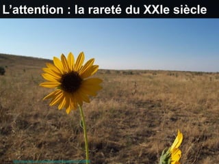 L’attention : la rareté du XXIe siècle




Source :http://www.flickr.com/photos/astepintothedark/227595666
 
