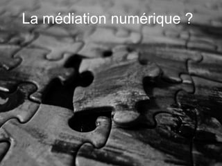 La médiation numérique ?
 