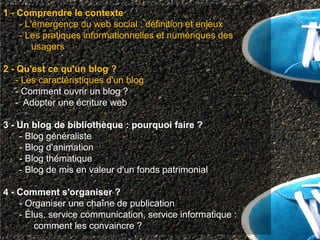 1 - Comprendre le contexte
    - L'émergence du web social : définition et enjeux
    - Les pratiques informationnelles et numériques des
        usagers

2 - Qu'est ce qu'un blog ?
   - Les caractéristiques d'un blog
   - Comment ouvrir un blog ?
   - Adopter une écriture web

3 - Un blog de bibliothèque : pourquoi faire ?
    - Blog généraliste
    - Blog d'animation
    - Blog thématique
    - Blog de mis en valeur d'un fonds patrimonial

4 - Comment s'organiser ?
    - Organiser une chaîne de publication
    - Élus, service communication, service informatique :
        comment les convaincre ?
 