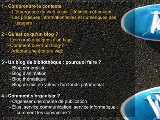 1 - Comprendre le contexte
    - L'émergence du web social : définition et enjeux
    - Les pratiques informationnelles et numériques des
        usagers

2 - Qu'est ce qu'un blog ?
   - Les caractéristiques d'un blog
   - Comment ouvrir un blog ?
   - Adopter une écriture web

3 - Un blog de bibliothèque : pourquoi faire ?
    - Blog généraliste
    - Blog d'animation
    - Blog thématique
    - Blog de mis en valeur d'un fonds patrimonial

4 - Comment s'organiser ?
    - Organiser une chaîne de publication
    - Élus, service communication, service informatique :
        comment les convaincre ?
 