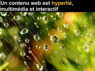 Un contenu web est hyperlié,
multimédia et interactif
 