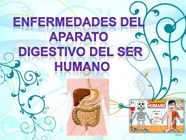 Enfermedades del aparato digestivo del ser humano