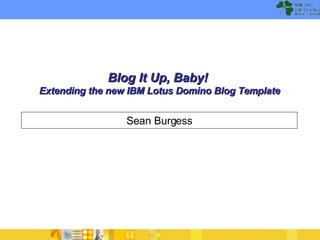 Blog It Up, Baby!  Extending the new IBM Lotus Domino Blog Template Sean Burgess 