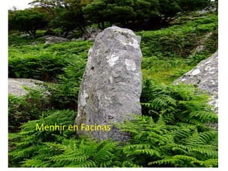 Menhir en Facinas
 