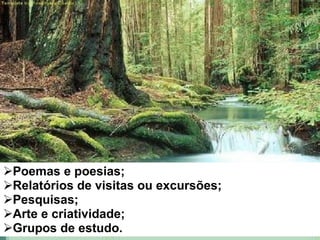 Poemas e poesias; Relatórios de visitas ou excursões; Pesquisas; Arte e criatividade; Grupos de estudo. 