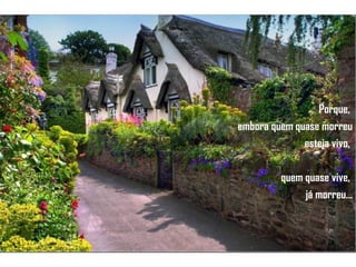 Porque,  embora quem quase morreu esteja vivo,  quem quase vive,  já morreu... 