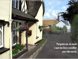 Pergunto-me, às vezes, o que nos leva a escolher  uma vida morna.  