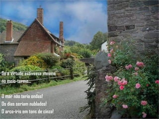 Se a virtude estivesse mesmo no meio-termo... O mar não teria ondas! Os dias seriam nublados! O arco-íris em tons de cinza! 