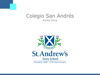 Colegio San Andrés Punta Chica 