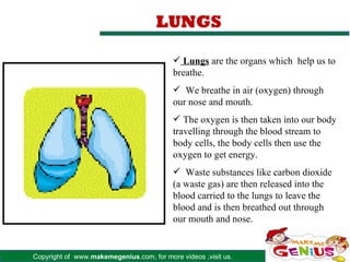 LUNGS

                                           Lungs are the organs which help us to
                                          breathe.
                                           We breathe in air (oxygen) through
                                          our nose and mouth.
                                           The oxygen is then taken into our body
                                          travelling through the blood stream to
                                          body cells, the body cells then use the
                                          oxygen to get energy.
                                           Waste substances like carbon dioxide
                                          (a waste gas) are then released into the
                                          blood carried to the lungs to leave the
                                          blood and is then breathed out through
                                          our mouth and nose.


Copyright of www.makemegenius.com, for more videos ,visit us.
 