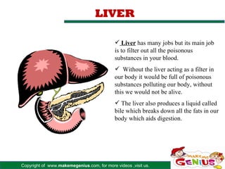LIVER

                                             Liver has many jobs but its main job
                                            is to filter out all the poisonous
                                            substances in your blood.
                                             Without the liver acting as a filter in
                                            our body it would be full of poisonous
                                            substances polluting our body, without
                                            this we would not be alive.
                                             The liver also produces a liquid called
                                            bile which breaks down all the fats in our
                                            body which aids digestion.




Copyright of www.makemegenius.com, for more videos ,visit us.
 