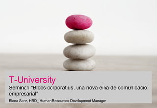 T-University Seminari &quot;Blocs corporatius, una nova eina de comunicació empresarial“ Elena Sanz, HRD_ Human Resources Development Manager 