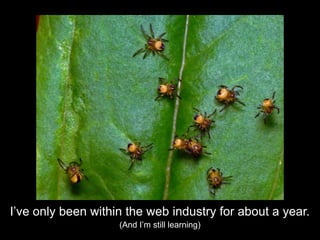 I’ve only been within the web industry for about a year.(And I’m still learning)