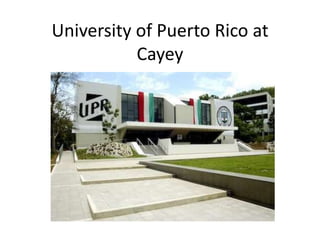 University of Puerto Rico at Cayey 