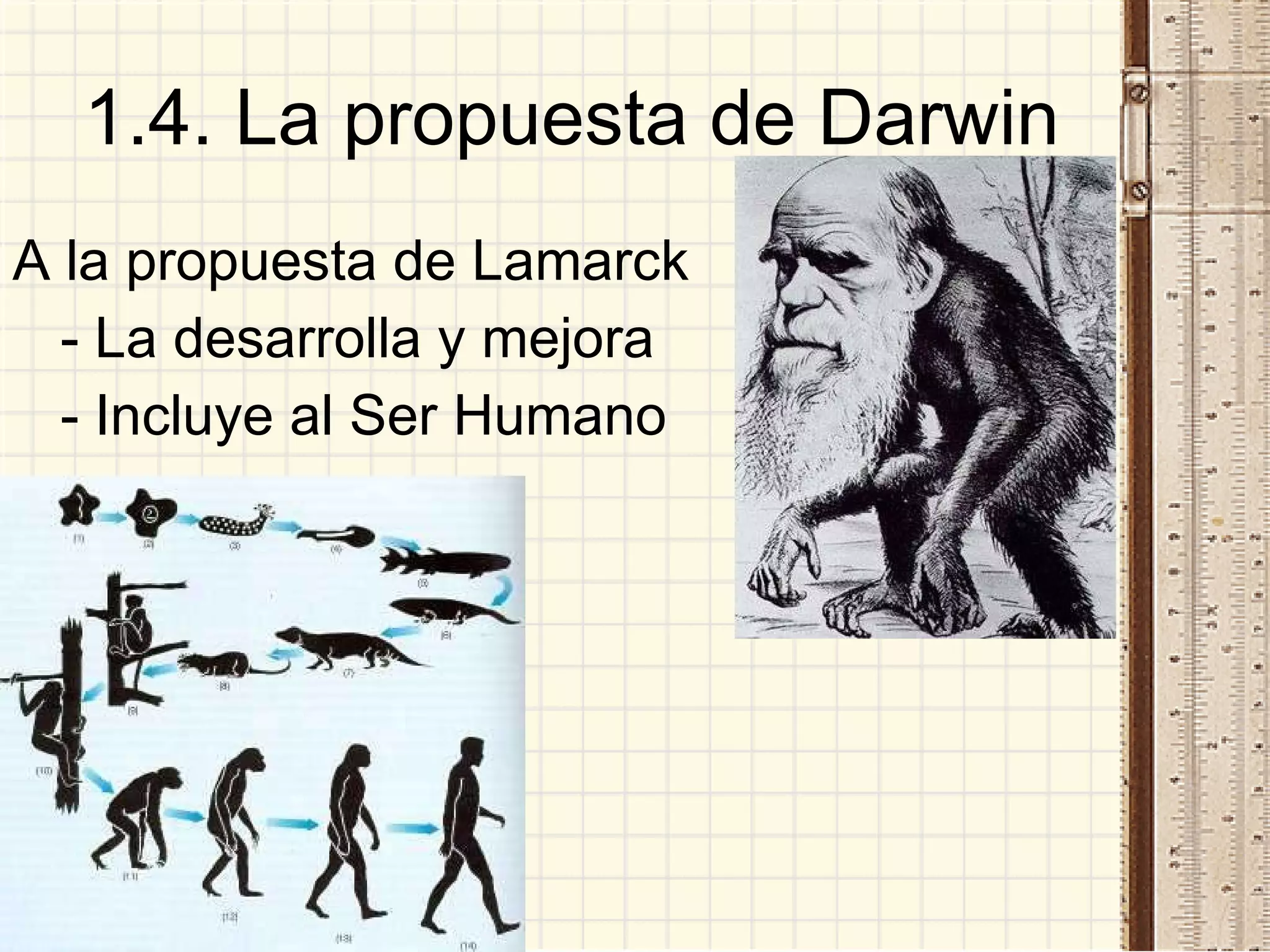 1.4. La propuesta de Darwin A la propuesta de Lamarck - La desarrolla y mejora - Incluye al Ser Humano 