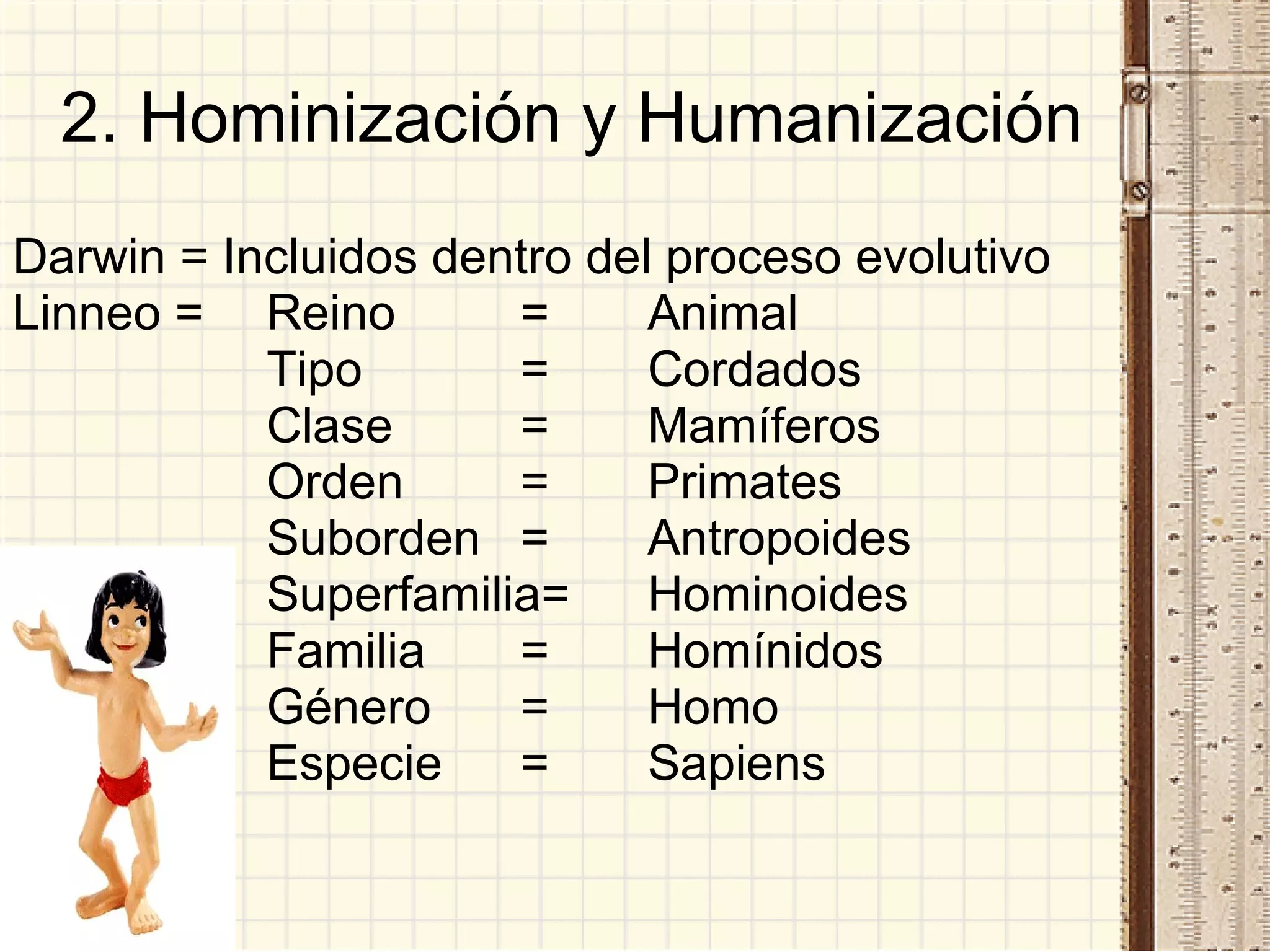 2. Hominización y Humanización Darwin = Incluidos dentro del proceso evolutivo Linneo =  Reino = Animal Tipo =  Cordados Clase = Mamíferos Orden = Primates Suborden = Antropoides Superfamilia= Hominoides Familia = Homínidos Género =  Homo Especie = Sapiens 
