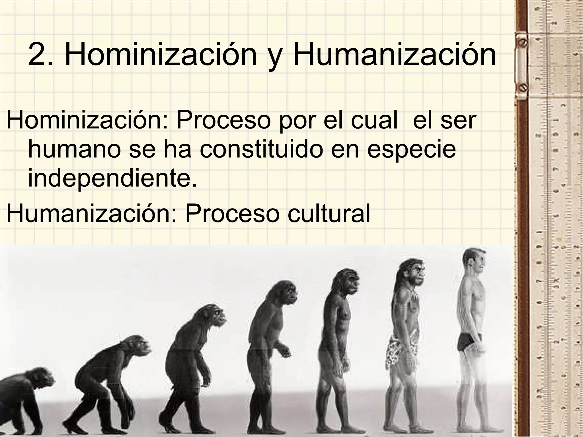 2. Hominización y Humanización Hominización: Proceso por el cual  el ser humano se ha constituido en especie independiente. Humanización: Proceso cultural 