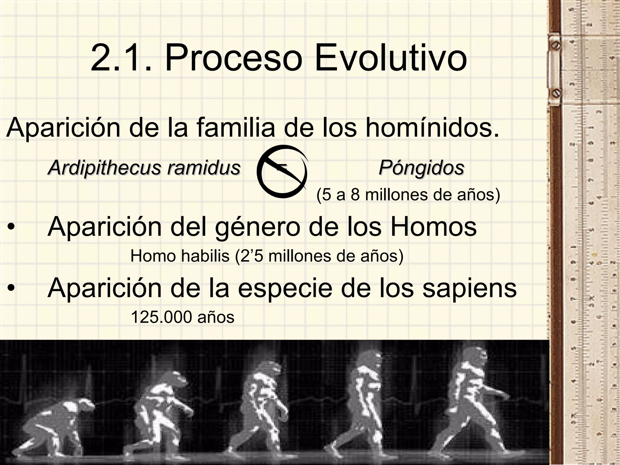 2.1. Proceso Evolutivo Aparición de la familia de los homínidos. Ardipithecus ramidus  =  Póngidos   (5 a 8 millones de años) Aparición del género de los Homos Homo habilis (2’5 millones de años) Aparición de la especie de los sapiens 125.000 años 