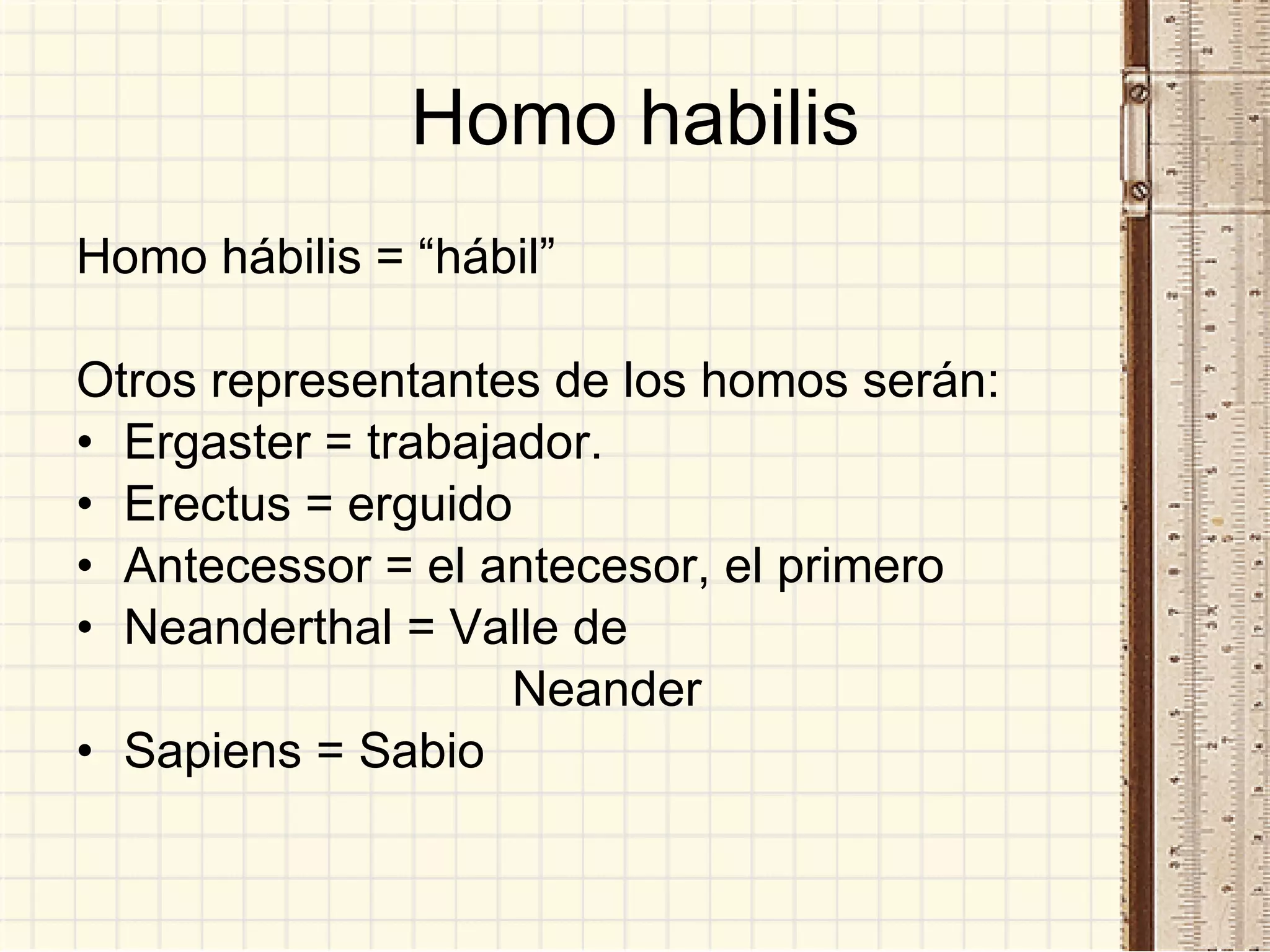 Homo habilis Homo hábilis = “hábil”  Otros representantes de los homos serán:  Ergaster = trabajador. Erectus = erguido Antecessor = el antecesor, el primero Neanderthal = Valle de    Neander Sapiens = Sabio 