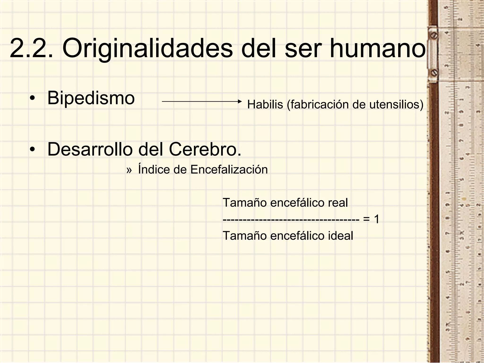 2.2. Originalidades del ser humano Bipedismo Desarrollo del Cerebro. Índice de Encefalización Tamaño encefálico real ---------------------------------- = 1 Tamaño encefálico ideal  Habilis (fabricación de utensilios) 