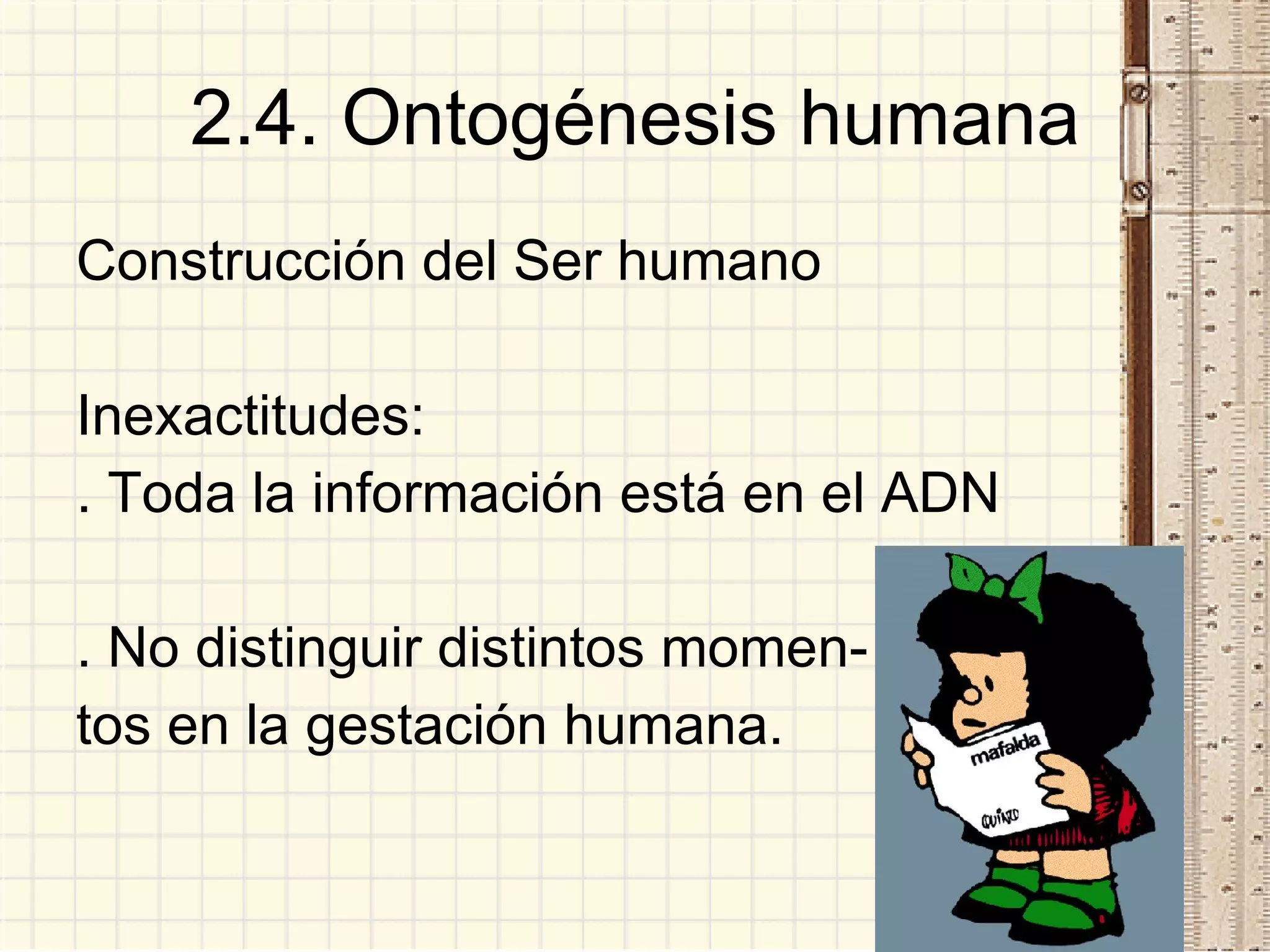 2.4. Ontogénesis humana Construcción del Ser humano Inexactitudes: . Toda la información está en el ADN . No distinguir distintos momen- tos en la gestación humana. 