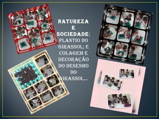 NATUREZA
E
SOCIEDADE:
PLANTIO DO
GIRASSOL; E
COLAGEM E
DECORAÇÃO
DO DESENHO
DO
GIRASSOL...