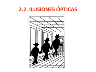 2.2. ILUSIONES ÓPTICAS
 