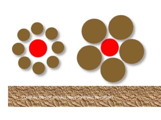 r?
¿Cuál de los dos círculos rojos centrales es mayor?
 