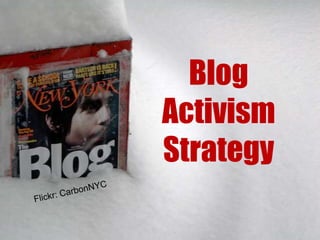 Blog
Activism
Strategy
 
