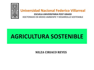 AGRICULTURA SOSTENIBLE
NILZA CIRIACO REYES
Universidad Nacional Federico Villarreal
ESCUELA UNIVERSITARIA POST GRADO
DOCTORADO EN MEDIO AMBIENTE Y DESARROLLO SOSTENIBLE
 